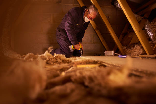 Best Insulation Maintenance and Repair in Denver City, TX